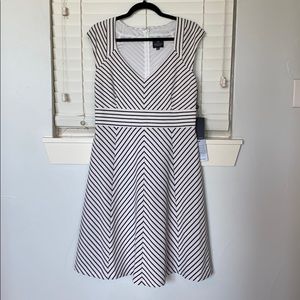 Adrianna Papell Dress
